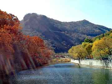 新澳天天开奖资料大全旅游团，极叶